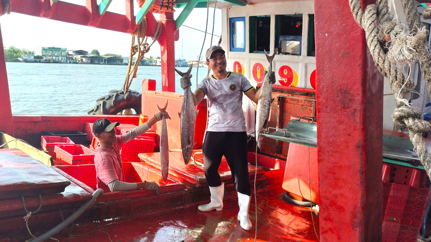 Với chuyến biển gần đây, anh Thái cho rằng cả sản lượng lẫn giá bán đều ở mức “tạm được”. Doanh thu mỗi chuyến khoảng 800 – 900 triệu đồng. Sau khi trừ chi phí, thu nhập chia cho bạn ghe, mỗi người cũng được khoảng trên dưới chục triệu đồng.