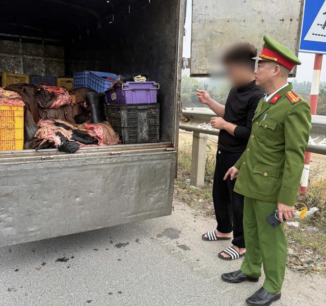 Lực lượng chức năng kiểm tra xe tải vận chuyển 1,2 tấn mỡ, da trâu bò không rõ nguồn gốc trên Quốc lộ 2. Ảnh: Công an tỉnh Phú Thọ.