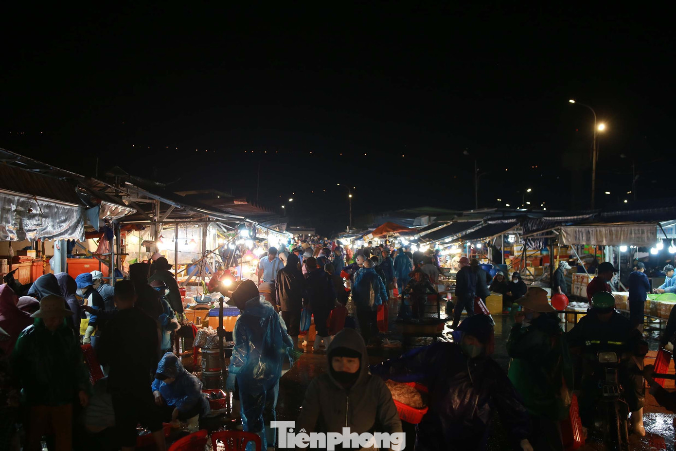 Giữa làn mưa phùn và cái lạnh se sắt của những ngày cuối năm, nhịp sống ở cảng cá vẫn hối hả để kịp chuyến chợ sớm phục vụ người dân thành phố. Ảnh: Huy Hoàng