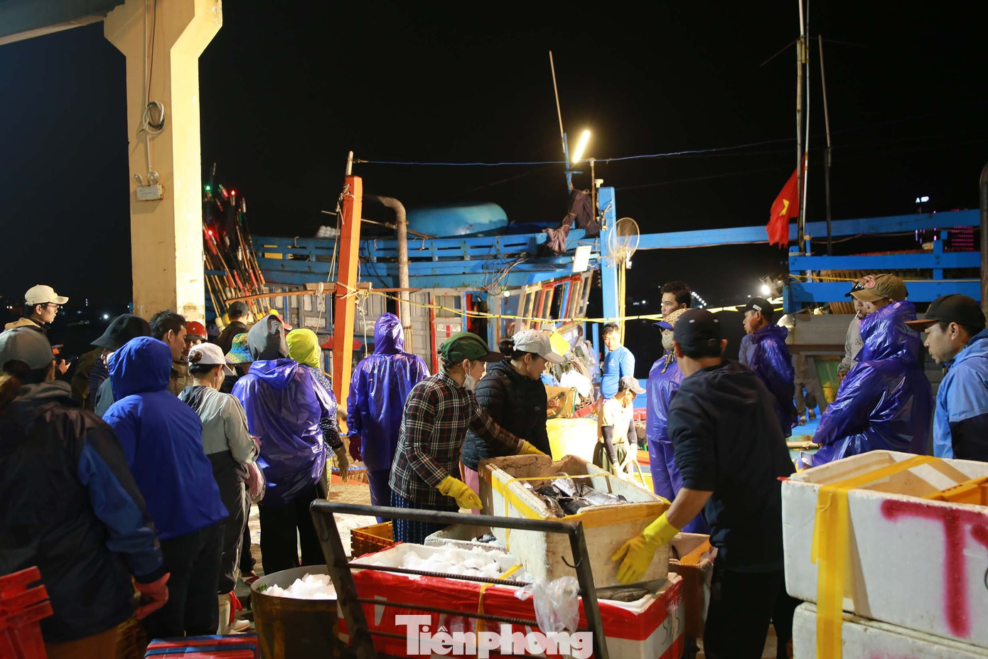 Hối hả cảng cá sớm tinh mơ - 3