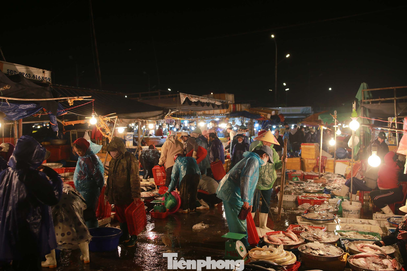 Nhộn nhịp chợ cá Thọ Quang từ nửa đêm tới mờ sáng khi các tàu cá lần lượt cập bến từ các vùng biển gần xa. Ảnh: Huy Hoàng