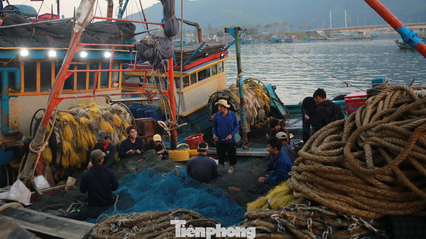 img src/upload/1-2026/images/2026-01-16/1768521046-tp-cangcathoquang-5c-width1390height780.jpg width660 /