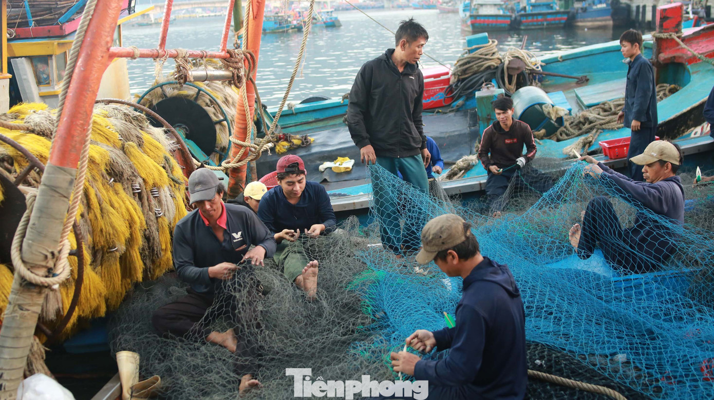 Hối hả cảng cá sớm tinh mơ - 21