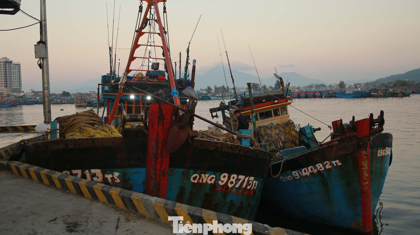 Hàng dài tàu cá mới vào bờ tại âu thuyền Thọ Quang. Ảnh: Huy Hoàng