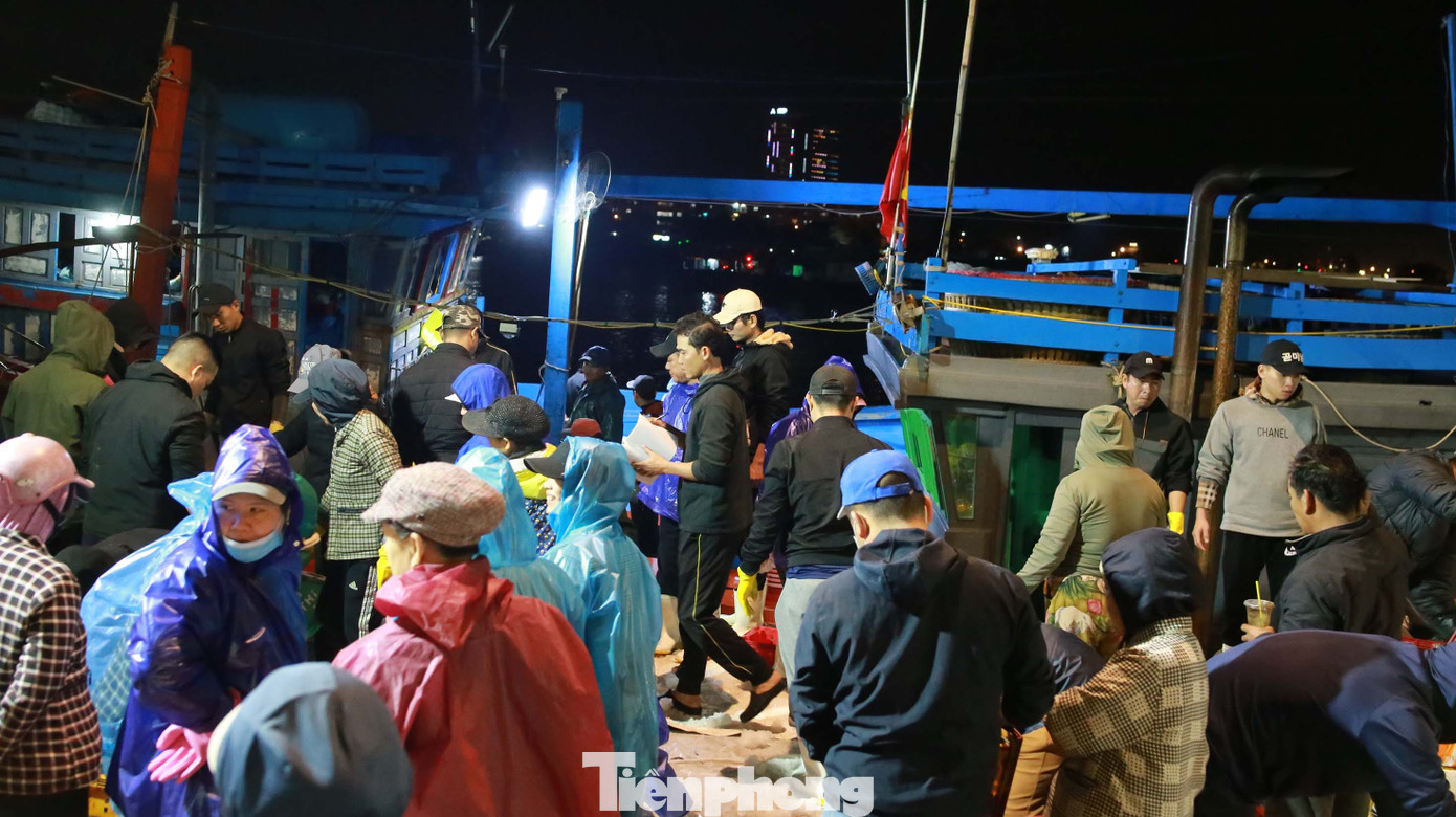 img src/upload/1-2026/images/2026-01-16/1768521046-tp-cangcathoquang-01-width1390height927.jpg width660 /