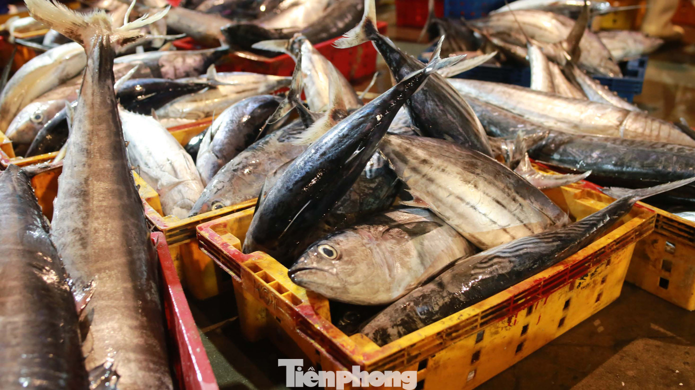 Bà Trần Thị Bé, 52 tuổi, đã 30 năm kinh doanh hải sản tại cảng cá Thọ Quang cho biết, cá về đây thường được bán cho các chợ lẻ hoặc chợ sỉ. Những người mua lại của bà đem đi chợ nhỏ khác để bán cũng kiếm lời ít nhiều. “Sản lượng hải sản hôm nay nhiều hơn mọi hôm, nhưng so với mọi năm thì cũng giảm nhiều, lãi ít hơn...”, bà Bé nói. Ảnh: Huy Hoàng