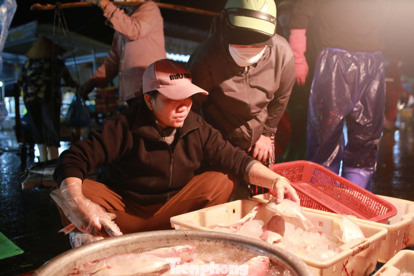 Bà Nguyễn Thị Kim Nhung, nhà ở phường Sơn Trà năm nay 45 tuổi nhưng đã có 32 năm làm nghề buôn bán và pha chế cá tại cảng. Hằng ngày bà rời nhà từ 8-9 giờ tối đến 6-7 giờ sáng hôm sau. Công việc vất vả, phải có chồng đi phụ để đỡ chi phí thuê người. Ảnh: Huy Hoàng