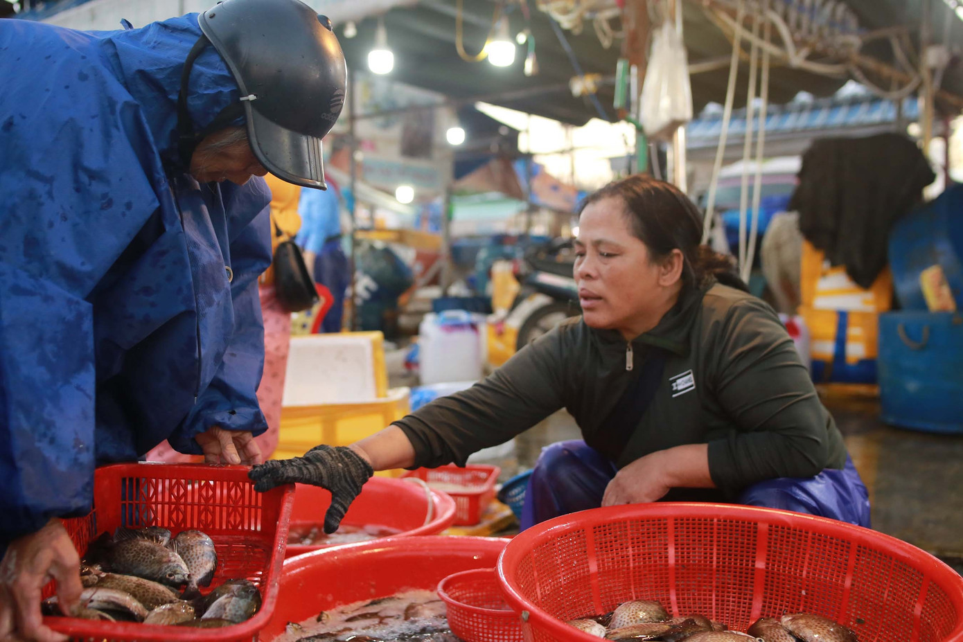 img src/upload/1-2026/images/2026-01-16/1768521046-tp-cangcathoquang-ca-width1390height927.jpg width660 /