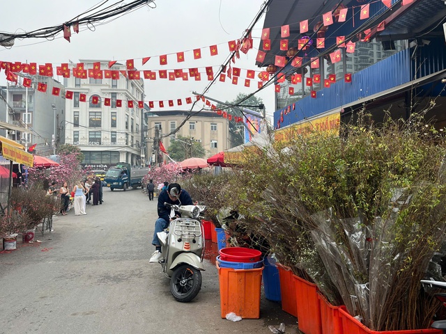 Còn hơn một tháng nữa mới đến a classTextlinkBaiviet hrefhttps://eva.vn/tet-nguyen-dan-p2492c73.htmlTết Nguyên đán/a Bính Ngọ 2026, nhưng không khí xuân đã sớm hiện diện tại chợ hoa Quảng An (Hà Nội). Những ngày này, tiểu thương đã tập kết hàng trăm cành đào, cây quất cùng nhiều loại hoa rừng như mộc lan, lê rừng… thu hút đông đảo người dân tới tham quan, mua sắm và “mang Tết về nhà” từ rất sớm.