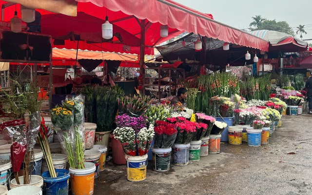 Sắc đào, sắc hoa đã khiến không khí Tết trở nên nhộn nhịp, báo hiệu một mùa xuân đang đến gần.