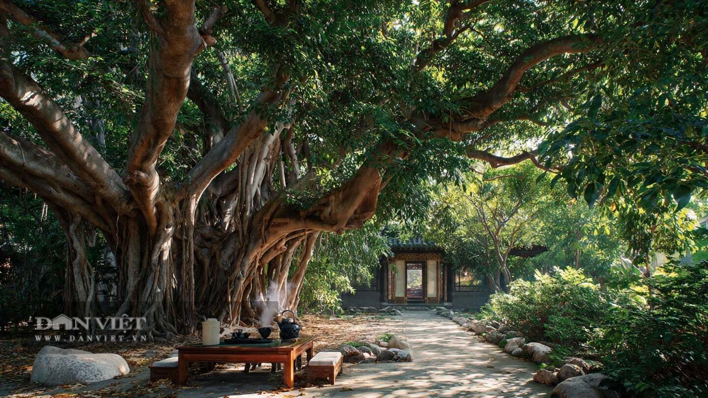 Cây cảnh thường được chọn trồng ở những vị trí quan trọng