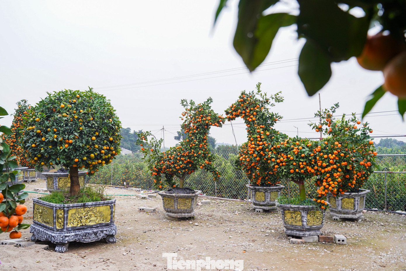 img src/upload/1-2026/images/2026-01-16/1768533360-tp-tienphong-1444-width1390height869.jpg width660 /