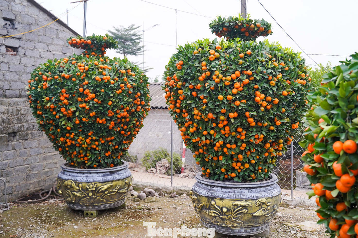 img src/upload/1-2026/images/2026-01-16/1768533361-tp-tienphong-1440-width1390height926.jpg width660 /