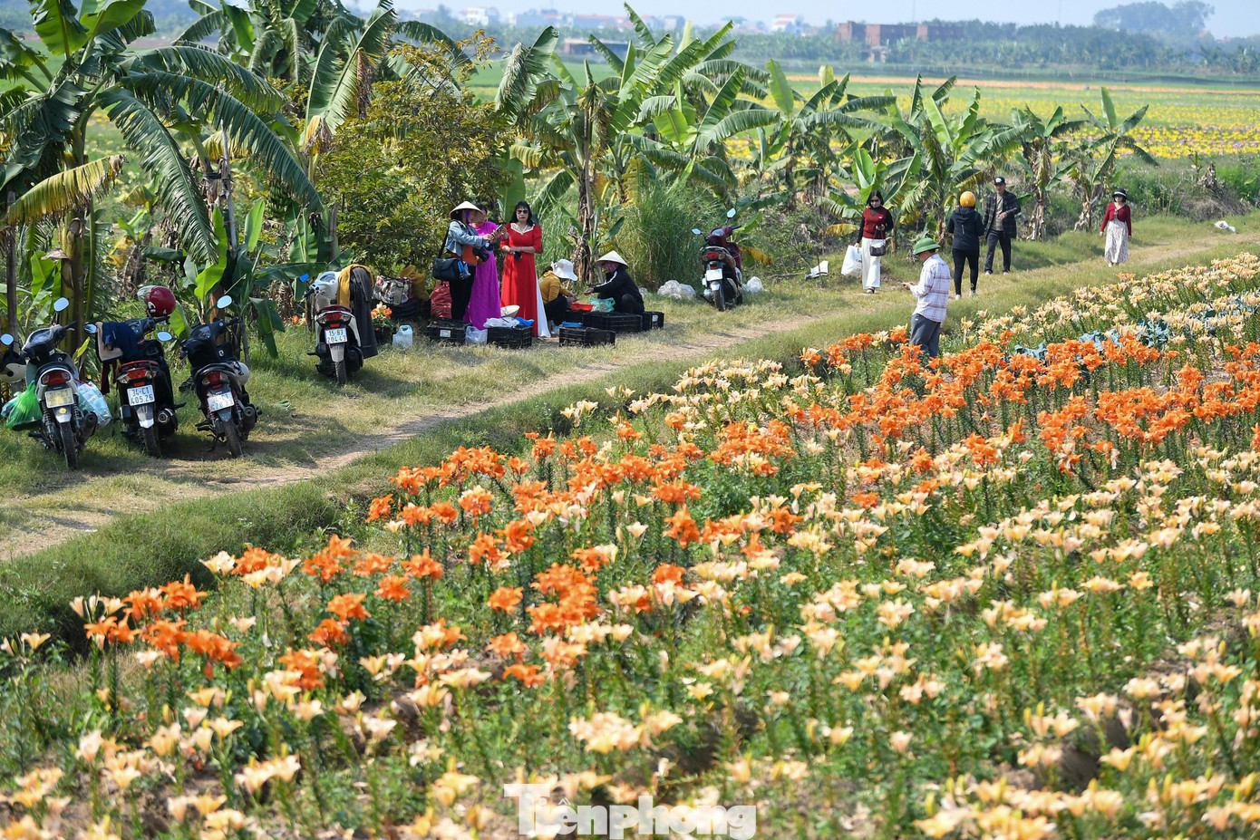 Cùng Với Đó, Dịch Vụ Chụp Ảnh Thuê Tại Khu Vực Này Cũng Bắt Đầu Nở Rộ. Theo Khảo Sát, Mức Giá Chụp Ảnh Dao Động 10.000 Đồng/Kiểu Ảnh, Hoặc 500.000 Đồng/Giờ; Nếu Chụp Dài Hơn, Gói 2 Giờ Có Giá Khoảng 700.000 - 800.000 Đồng, Tùy Thỏa Thuận Giữa Khách Và Thợ Ảnh. Nhiều Nhiếp Ảnh Gia Cho Biết Lượng Khách Tăng Mạnh Vào Dịp Cuối Tuần, Đặc Biệt Là Các Nhóm Bạn Trẻ Và Gia Đình.