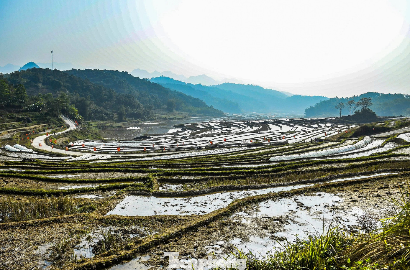 Khắp Những Ruộng Lúa Bậc Thang, Nước Ngập Đầy Ruộng, Trải Theo Từng Tầng Bậc Uốn Lượn Quanh Sườn Núi, Biến Không Gian Canh Tác Quen Thuộc Thành Những “Tấm Gương” Phản Chiếu Bầu Trời, Mây Trắng Và Sắc Xanh Trùng Điệp Của Núi Rừng.
