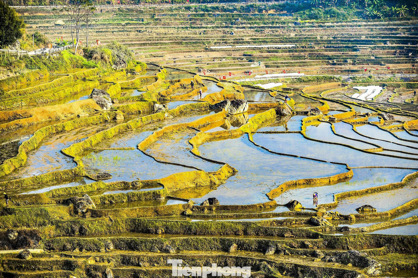 Theo Người Dân Địa Phương, Pù Luông Đẹp Nhất Trong Hai Thời Điểm Của Năm, Đó Là Mùa Lúa Chín Và Mùa Đổ Ải. Nếu Mùa Lúa Chín Rực Rỡ Sắc Vàng, Thì Mùa Nước Đổ Lại Mang Nét Đẹp Dịu Dàng, Trong Trẻo, Khi Mặt Ruộng Như Những Tấm Gương Khổng Lồ Soi Bóng Trời Xanh, Mây Trắng Và Những Mái Nhà Sàn Đơn Sơ Nép Mình Bên Sườn Núi.