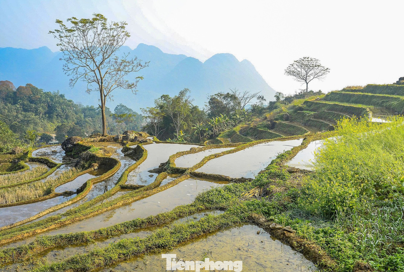 Img Src/Upload/1-2026/Images/2026-01-17/1768617457-Tp-7-Width1390Height947.Jpg Width660 /