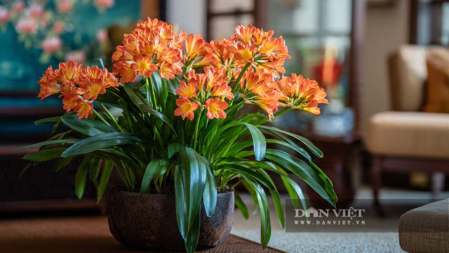 Cây cảnh coi trọng sự công bằng, vì vậy hãy xoay chậu cây