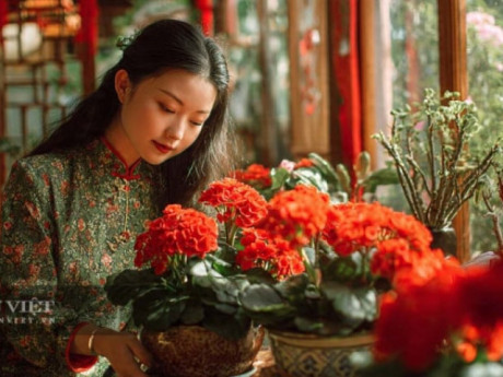 5 cây cảnh mộc mạc, rẻ tiền, người thông minh thích trồng trong nhà, vua của sự thịnh vượng, hộ vệ của gia đình