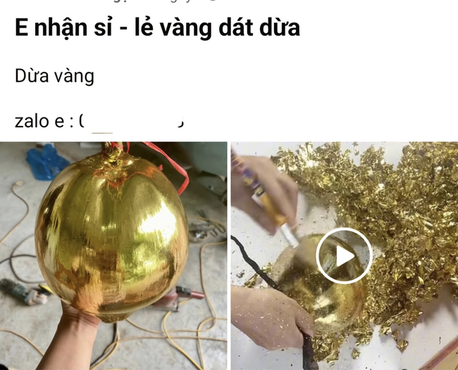Nhiều người quảng cáo bán dừa dát vàng trong dịp Tết Nguyên đán. Ảnh chụp màn hình.