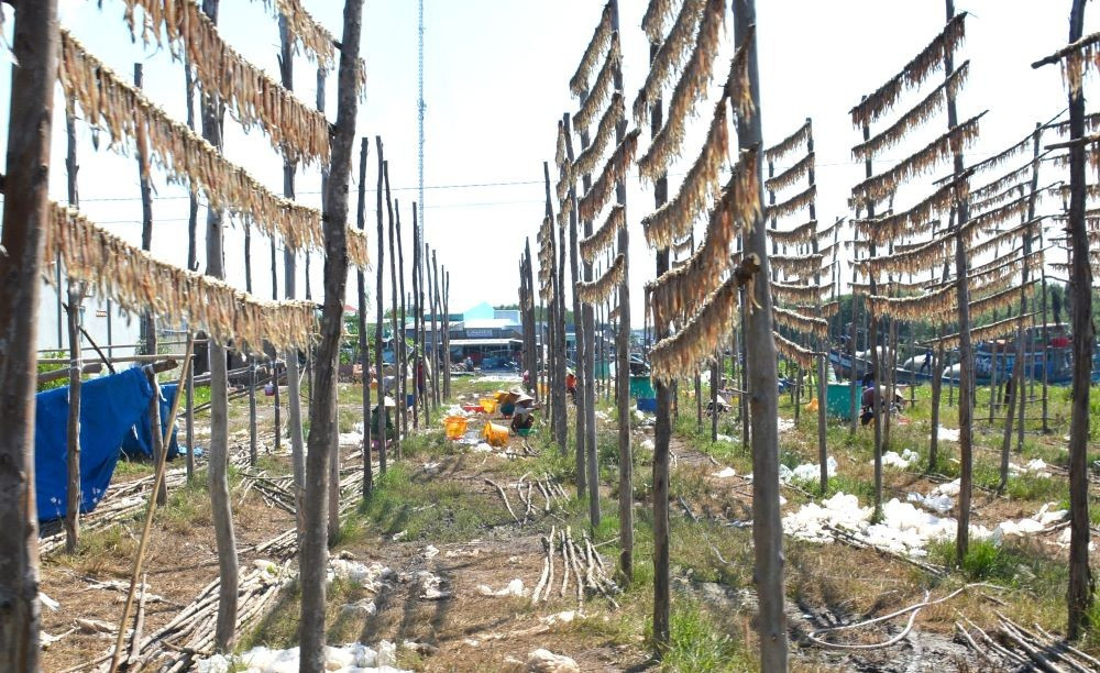 Thương hiệu Cá khô khoai Cái Đôi Vàm (xã Cái Đôi Vàm, Cà Mau) là sản phẩm đặc trưng lâu đời của địa phương, đã được Cục Sở hữu trí tuệ (Bộ Khoa học và Công nghệ) công nhận nhãn hiệu tập thể, khẳng định giá trị và uy tín trên thị trường.