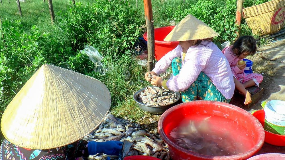 Theo các cơ sở sản xuất, thời điểm cận Tết, các vựa cá khô tại làng nghề hoạt động hết công suất.