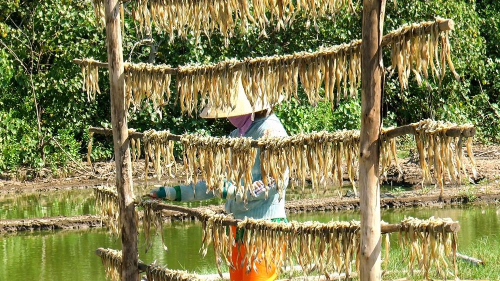 Lãnh đạo UBND xã Cái Đôi Vàm thông tin, thị trường cá khô dịp Tết năm khá tích cực, nhu cầu tương đối cao, giá các đặc sản như tôm khô, khô mực, khô cá khoai đều tăng so với cùng kỳ những năm trước.