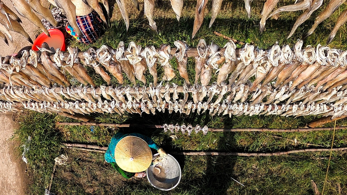 Thời gian qua, chính quyền địa phương cũng đặc biệt quan tâm phát triển thương hiệu tập thể “Cá khô khoai Cái Đôi Vàm”.