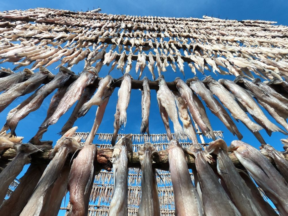 Làng khô cá khoai vào vụ Tết: Tất bật ngày đêm, làm bao nhiêu hết bấy nhiêu - 8