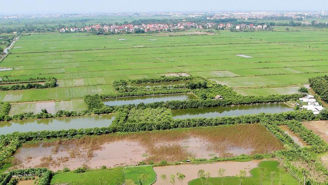 Nhiều trường hợp được miễn thuế sử dụng đất nông nghiệp theo Nghị định số 292/2025/NĐ-CP. Ảnh minh họa: TL