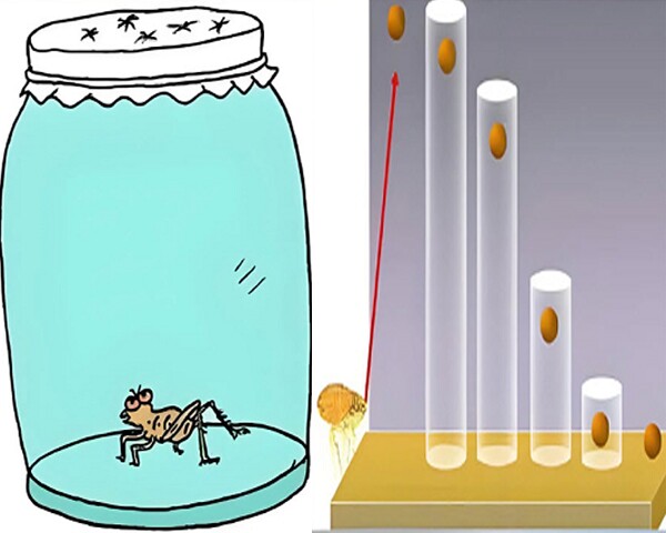 Tại sao bạn nỗ lực mãi không giàu?: Hãy đọc 7 quy luật này trước khi quá muộn - 5