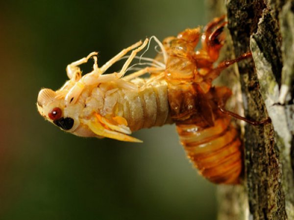 Tại sao bạn nỗ lực mãi không giàu?: Hãy đọc 7 quy luật này trước khi quá muộn - 7