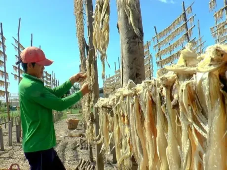 Làng khô cá khoai vào vụ Tết: Tất bật ngày đêm, làm bao nhiêu hết bấy nhiêu
