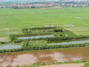 Tin tức - Những trường hợp này được miễn thuế sử dụng đất nông nghiệp từ năm 2026 đến hết năm 2030