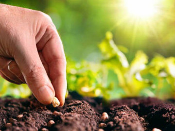 Tại sao bạn nỗ lực mãi không giàu?: Hãy đọc 7 quy luật này trước khi quá muộn