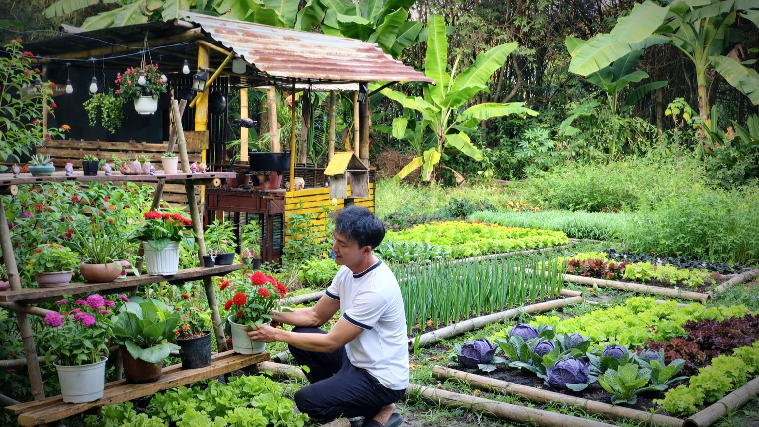 Vườn được làm mới sau mỗi vụ thu hoạch để phù hợp với loại rau và tăng tính mỹ quan