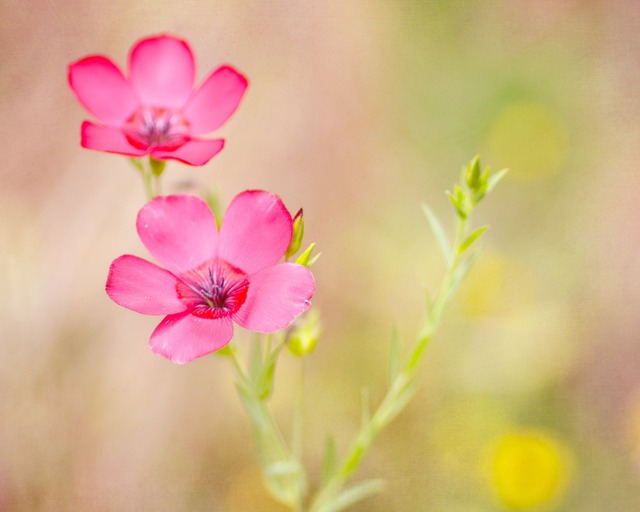 Người sinh vào khung giờ Âm lịch Thìn không chỉ sở hữu tài năng nhất định mà còn có chí hướng, luôn kiên trì theo đuổi mục tiêu cho đến khi thành công - Ảnh minh hoạ.