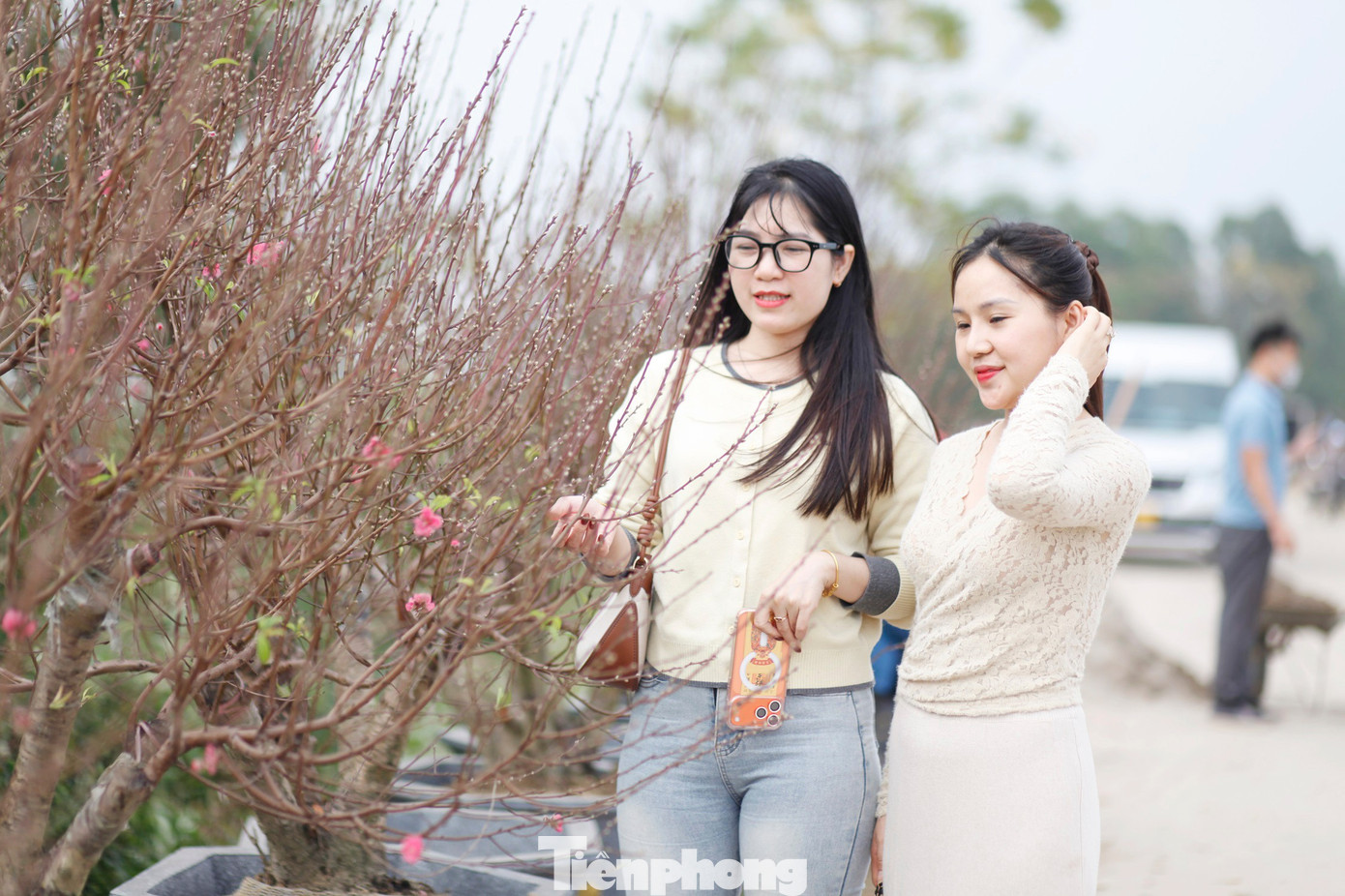 Khách hàng đến mua đào ở làng Cẩm Hoàng.