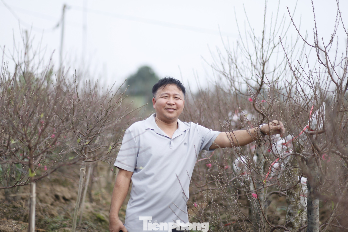 Niềm vui của người làng Cẩm Hoàng khi đào nở đẹp và bán được giá.