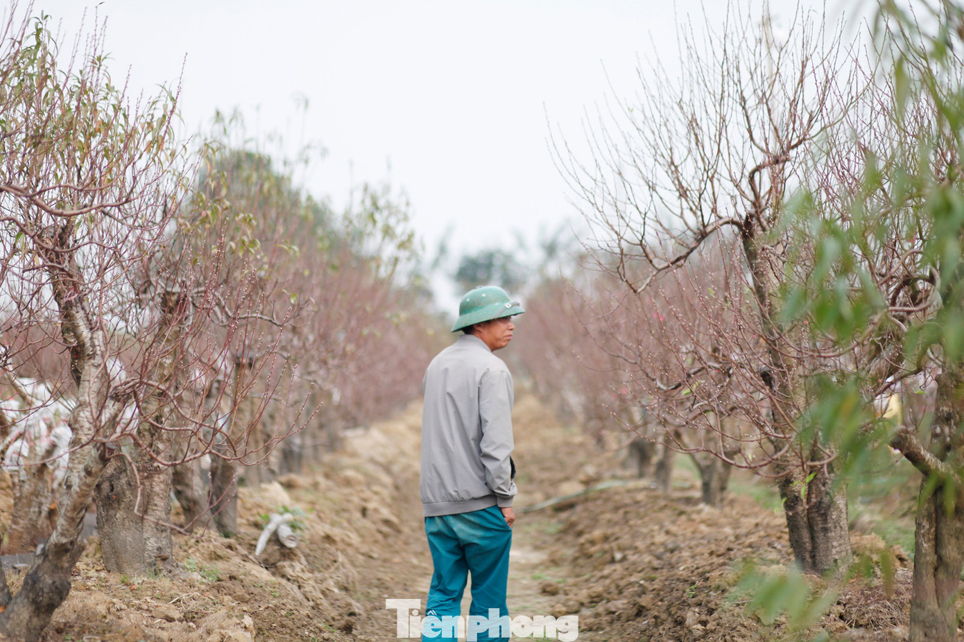 img src/upload/1-2026/images/2026-01-20/1768892003-tp-c15-width1390height926.jpg width660 /