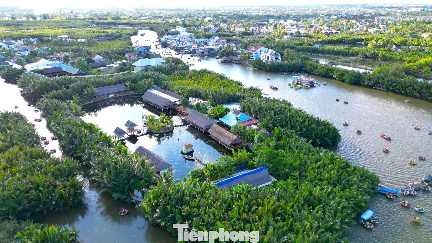 Có Gì Ở Ngôi Làng Giữa Rừng Dừa Nước Được Forbes Vinh Danh? Cách Trung Tâm Phố Cổ Hội An Chỉ Chừng 3 Cây Số, Làng Cẩm Thanh Là Điểm Đến Yêu Thích Của Du Khách Trong Nước Và Quốc Tế.