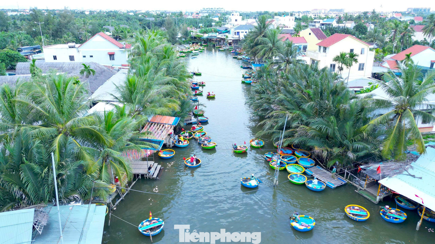 Có Gì Ở Ngôi Làng Giữa Rừng Dừa Nước Được Forbes Vinh Danh? Ngôi Làng Được Bao Bọc Bởi Sông Nước Và Rừng Dừa. Nhìn Từ Trên Cao Ngôi Làng Hiển Hiện Với Vẻ Đẹp Yên Bình, Xanh Mướt.