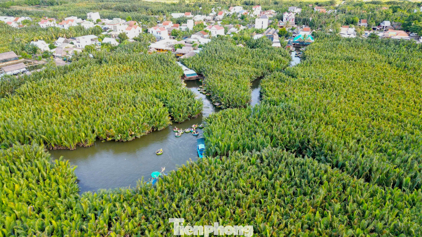 Có Gì Ở Ngôi Làng Giữa Rừng Dừa Nước Được Forbes Vinh Danh? Những Cánh Rừng Dừa Nước Xanh Ngút Ngàn Cùng Những Dòng Sông, Kênh Rạch Và Xóm Làng Nên Thơ Nằm Len Lỏi Dưới Tán Rừng Dừa Nước.