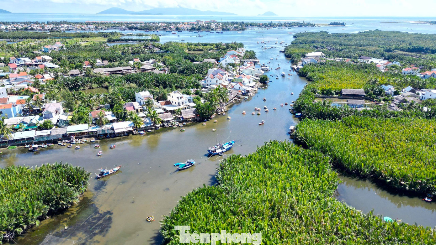 Có Gì Ở Ngôi Làng Giữa Rừng Dừa Nước Được Forbes Vinh Danh? Mô Hình Giúp Tạo Việc Làm Cho Khoảng 1.500 Lao Động Là Người Dân Địa Phương, Tạo Sinh Kế Bền Vững, Đồng Thời Góp Phần Bảo Tồn Và Phát Huy Giá Trị Của Khu Dự Trữ Sinh Quyển Thế Giới Cù Lao Chàm - Hội An.