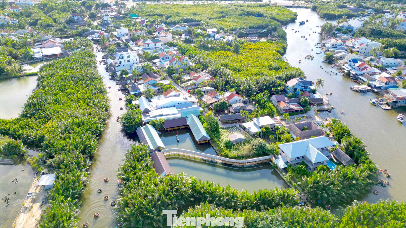 Có Gì Ở Ngôi Làng Giữa Rừng Dừa Nước Được Forbes Vinh Danh? Cẩm Thanh Có Diện Tích Khoảng Gần 940Ha, Với Hệ Thống Kênh Rạch Chằng Chịt Và Diện Tích Mặt Nước Chiếm Đến Gần 350Ha.