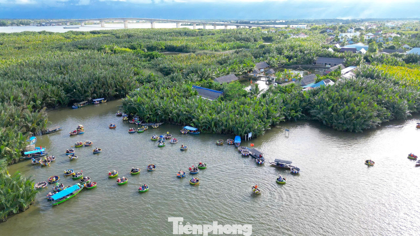 Có Gì Ở Ngôi Làng Giữa Rừng Dừa Nước Được Forbes Vinh Danh? Không Những Là Di Tích Có Giá Trị Lịch Sử Đặc Biệt, Rừng Dừa Bảy Mẫu Còn Là Khu Sinh Thái Độc Đáo Với Cảnh Quan Tuyệt Đẹp Và Đa Dạng Sinh Học Của Hệ Thống Rừng Ngập Mặn.