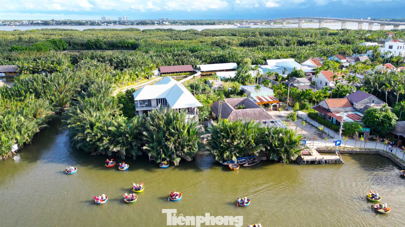 Có Gì Ở Ngôi Làng Giữa Rừng Dừa Nước Được Forbes Vinh Danh? Trải Nghiệm Chèo Thuyền Thúng, Khám Phá Rừng Dừa Nước Là Điều Đặc Biệt Thu Hút Với Du Khách Khi Đến Đây. Ngoài Ra, Du Khách Tham Gia Các Hoạt Động Nông Nghiệp Địa Phương, Tìm Hiểu Văn Hóa Bản Địa Là Mô Hình Du Lịch Rất Độc Đáo.