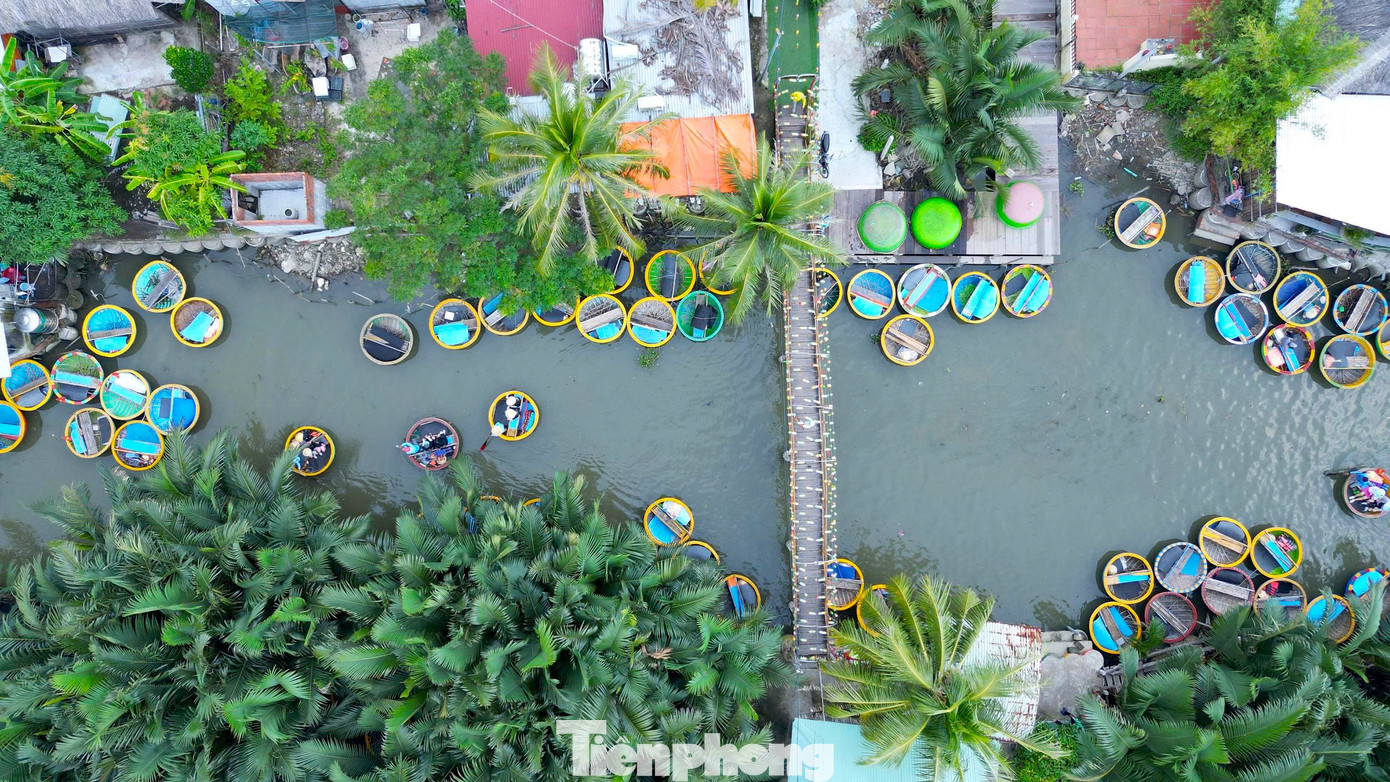 Có Gì Ở Ngôi Làng Giữa Rừng Dừa Nước Được Forbes Vinh Danh? Ông Trần Tấn Dũng - Chủ Tịch Ubnd Phường Hội An Đông - Cho Hay, Người Dân Nơi Đây Rất Ý Thức Trong Việc Chung Tay Giữ Gìn, Phát Huy Tiềm Năng Sẵn Có. Nhờ Thế Sinh Kế Người Dân Nơi Đây Đang Phát Triển Mạnh Mẽ Từ Phát Triển Du Lịch Theo Hướng Du Lịch Xanh, Du Lịch Cộng Đồng.