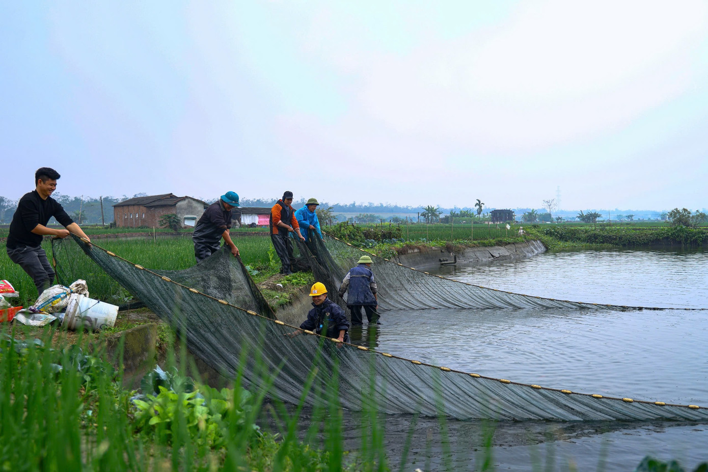 img src/upload/1-2026/images/2026-01-22/1769039639-z8-f7ecd489c76ab2f54f22-width1390height927.jpg width660 /