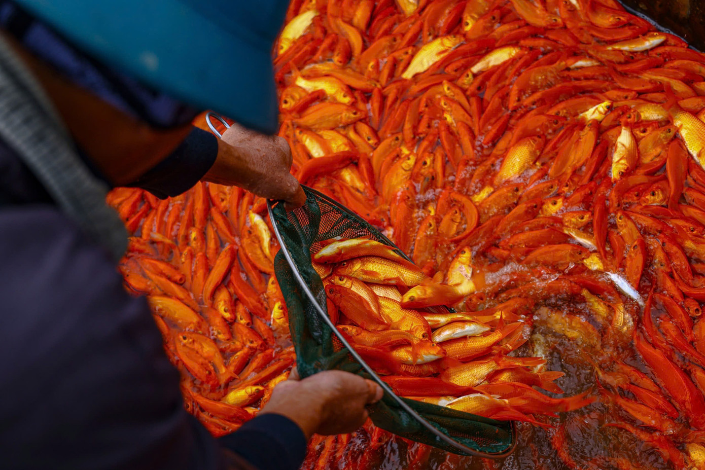 img src/upload/1-2026/images/2026-01-22/1769039641-z1-e1f1e91c3df7e69c3430bc82ad0aff3a-width1390height927.jpg width660 /